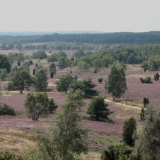 Lüneburger Heide