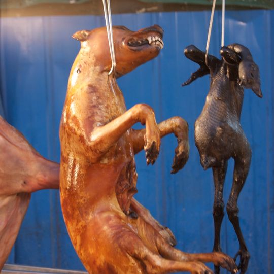 Lychee and Dog Meat Festival