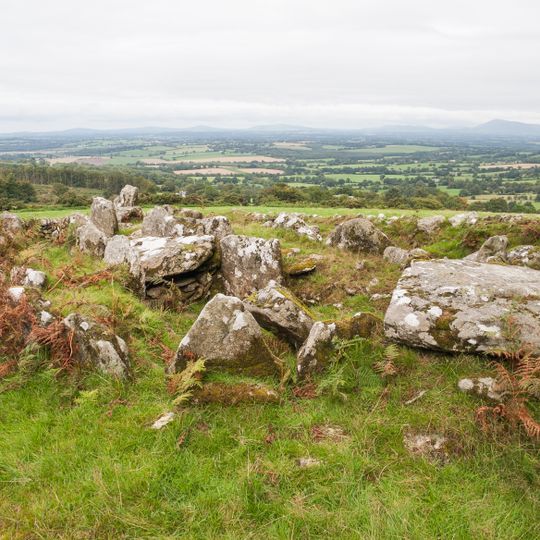 Wedge tomb von Moylisha