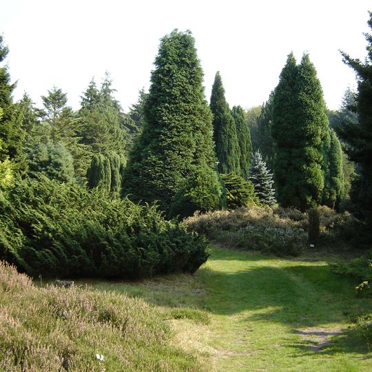Pinetum Ter Borgh