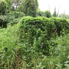 Kazemat GL120 op de liniedijk langs de A12