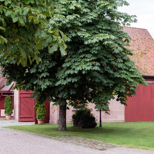 Stall in Röthenbach b.Sankt Wolfgang