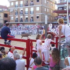 Plaza de toros de Mendavia