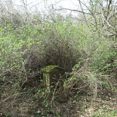 Kříž severně od Spáleného Poříčí u potůčku