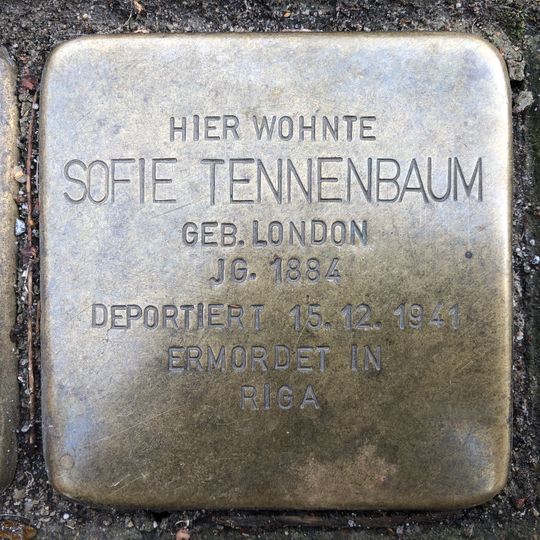 Stolperstein em memória de Sofie Tennenbaum