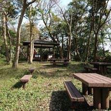はやま三ヶ岡山緑地