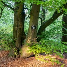 Naturpark Eggegebirge und Teutoburger Wald