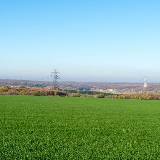 Forest area along the left bank of. Dnipro