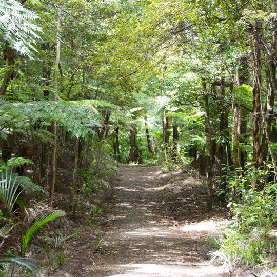 Goldie Bush Scenic Reserve