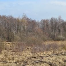 Kulyky nature reserve