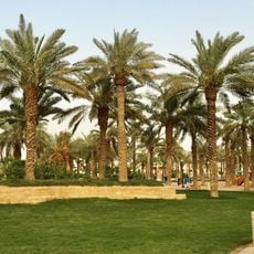 Suwaidi Park