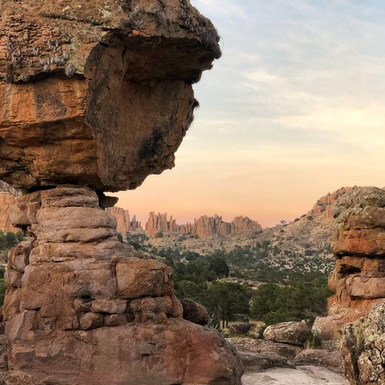 Parc national Sierra de Órganos