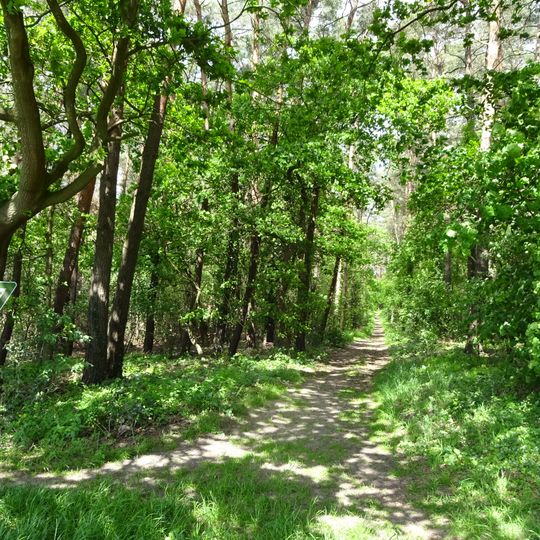 Buchwedel und Umgebung