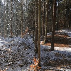 Barrow cemetery  Haintbrunnholz