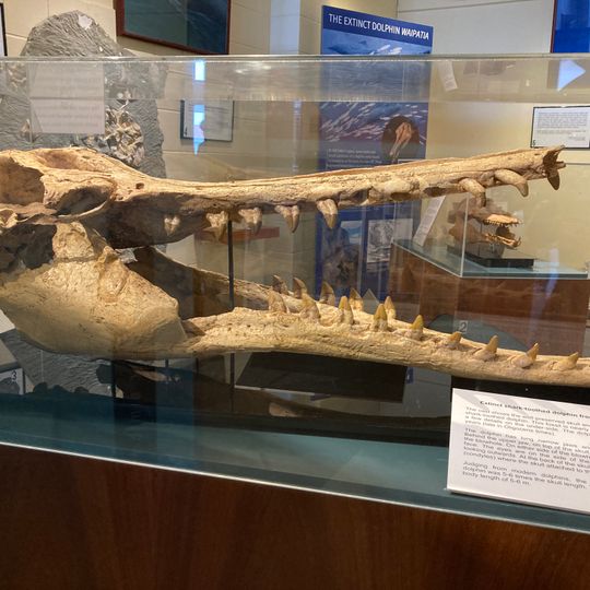 Vanished World Centre