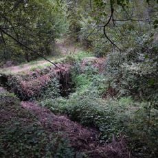 Rua da Ponte Cavalos