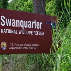 Swanquarter National Wildlife Refuge