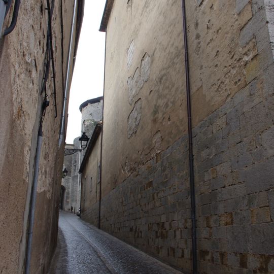 Pujada del Rei Martí