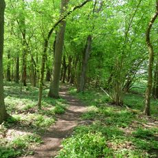 Naturschutzgebiet Eiskeller und Spandauer Luchwald