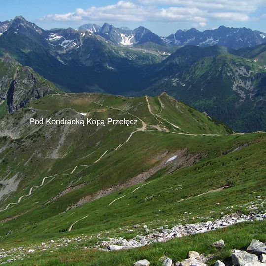 Suchy Wierch Kondracki