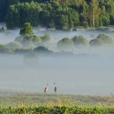 Vecpiebalga protected landscape area