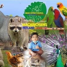 Machinchang Petland