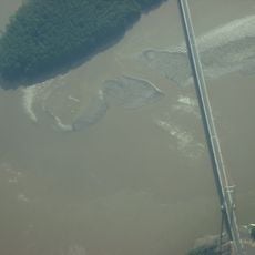 Puente La Amistad de Taiwán