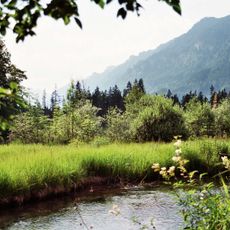 Moore im oberen Ammertal