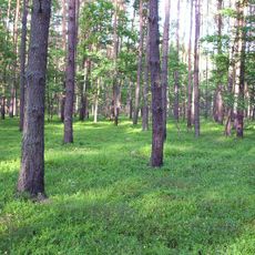 Bolimów Landscape Park