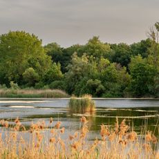 Erweiterung des Vogelschutzgebietes Garstadt