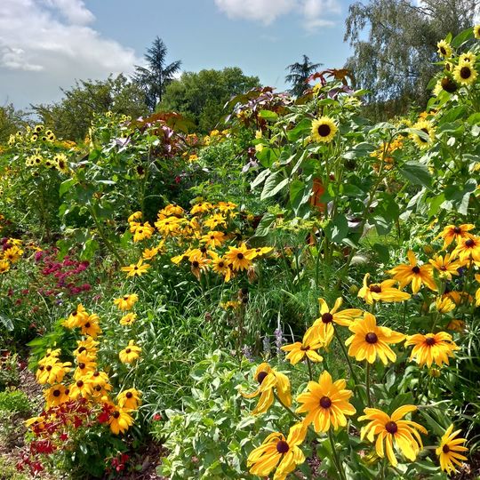 Jardin des papillons