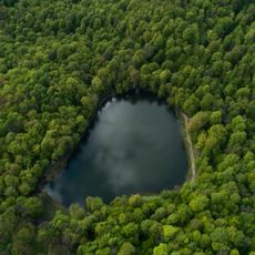Lake Gosh