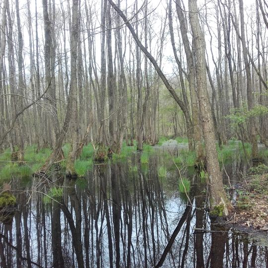Die Gebiete Kalbeck, Vorselaer, Grafendonk, Grotendonk, Berberheide, Schravelner Heide, Knappheide, Baalerbruch, Gocher Veen, Weezer Veen, Wember Veen, Hees, Laarbruch