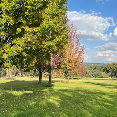Delta Park