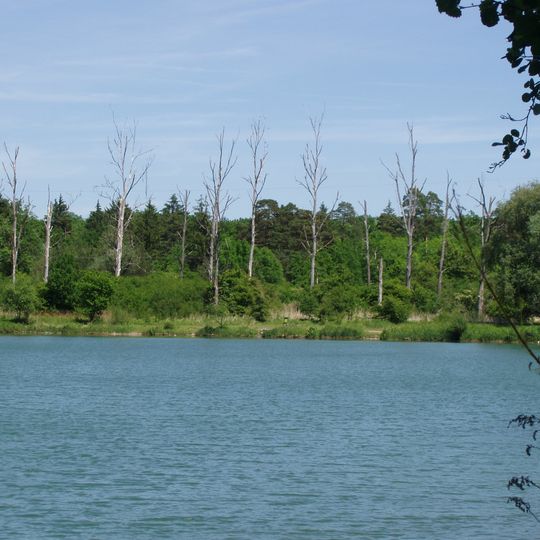 Donauauen mit Gerolfinger Eichenwald