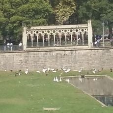 Monumento a Teobaldo I de Navarra (Pamplona)