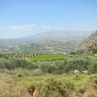 Municipality of Archane - Asterousia