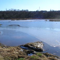 Rodley Nature Reserve