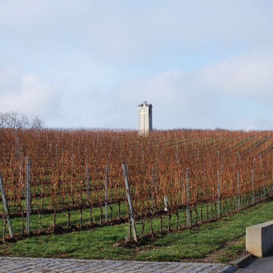 Small Carpathians Wine Region