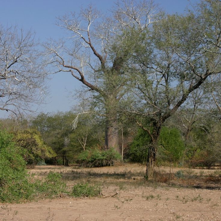 Parque Nacional Lengwe
