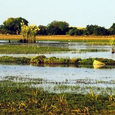Bangweulu Wetlands