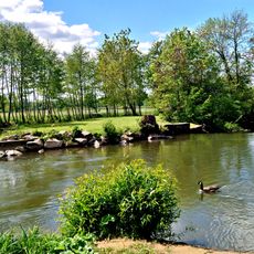 Weideswiesen-Oberwald bei Erlensee