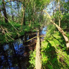 Lindendamm am Gabelteich