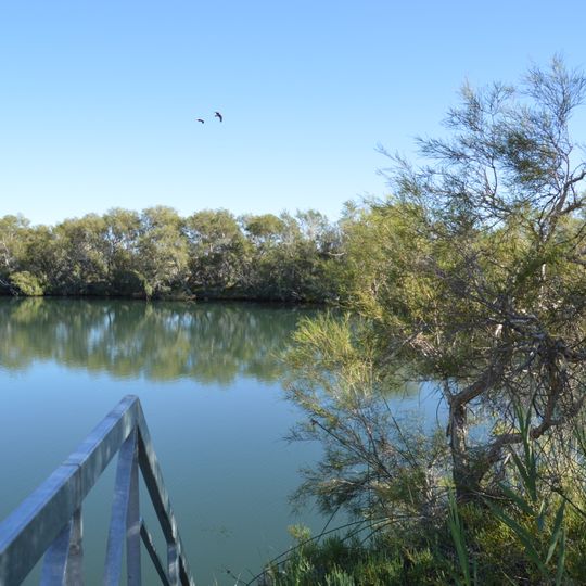 Witjira National Park