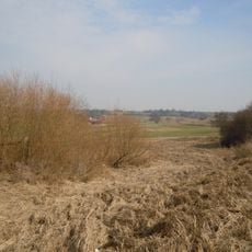 Feuchtbiotop Quintsestal