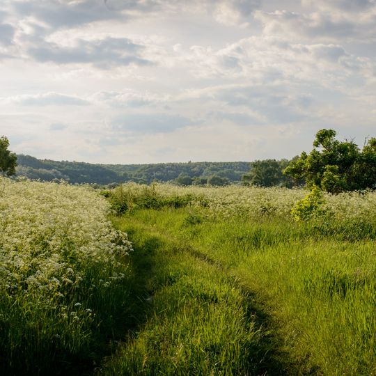 Luchkivskyi Landscape Reserve