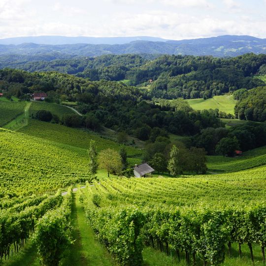 Weingut Manfred Tement