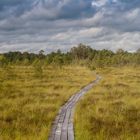 Niedrāju–Pilkas purvs