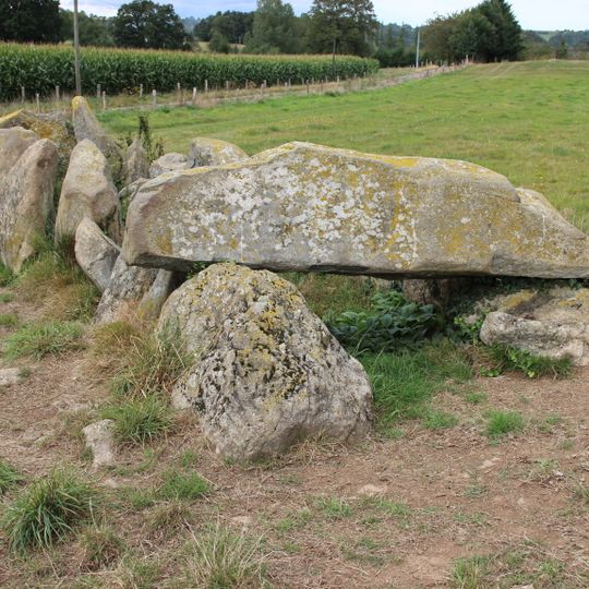 Allée couverte de la Tardivière