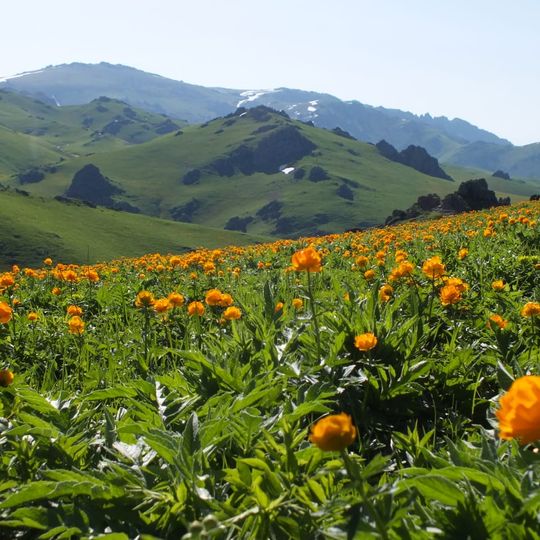 Tarbagatai Mountains